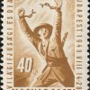 1949. VIT